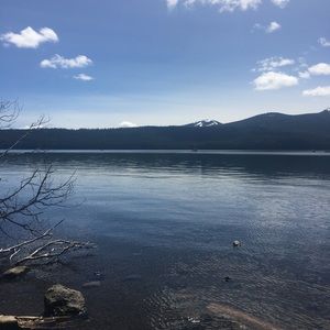 Meet your Posher, Doris